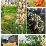 Grand Champetre ! La Source De Nos Racines - Corps De Ferme Au Coeur Du Parc Naturel De L'avesnois * Beaufort (Nord)