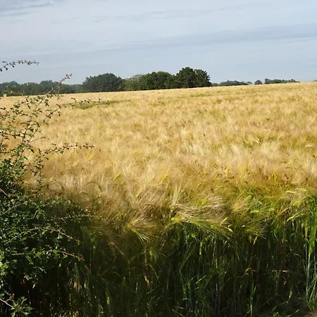 Σπίτι διακοπών Grand Champetre ! La Source De Nos Racines - Corps De Ferme Au Coeur Du Parc Naturel De L'avesnois Beaufort (Nord)