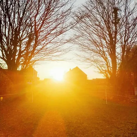 Grand Champetre ! La Source De Nos Racines - Corps De Ferme Au Coeur Du Parc Naturel De L'avesnois