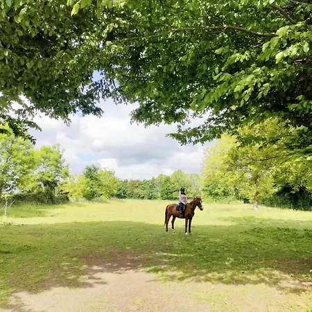 Grand Champetre ! La Source De Nos Racines - Corps De Ferme Au Coeur Du Parc Naturel De L'avesnois بيت للعطل *