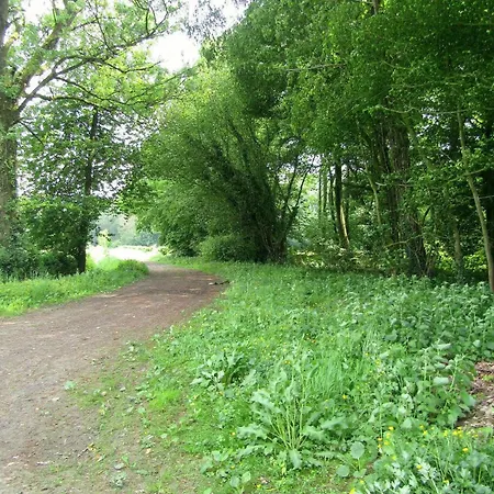 Grand Champetre ! La Source De Nos Racines - Corps De Ferme Au Coeur Du Parc Naturel De L'avesnois *