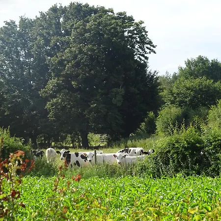 Grand Champetre ! La Source De Nos Racines - Corps De Ferme Au Coeur Du Parc Naturel De L'avesnois