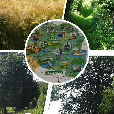 Grand Champetre ! La Source De Nos Racines - Corps De Ferme Au Coeur Du Parc Naturel De L'avesnois Prázdninový dům *