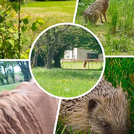 Grand Champetre ! La Source De Nos Racines - Corps De Ferme Au Coeur Du Parc Naturel De L'avesnois Beaufort (Nord)