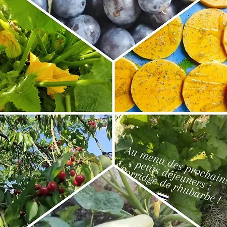 Grand Champetre ! La Source De Nos Racines - Corps De Ferme Au Coeur Du Parc Naturel De L'avesnois بيت للعطل Beaufort (Nord)